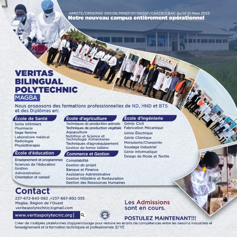 Formations Professionnelles de ND, HND, BTS et des Diplomes